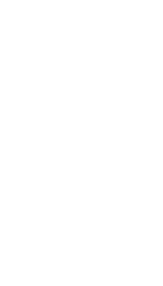 素材を感じる